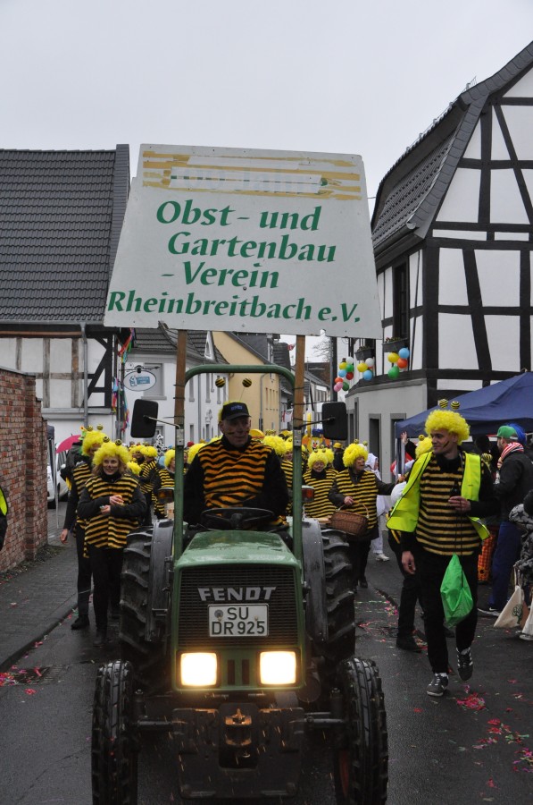 Foto Karnevalszug 2018