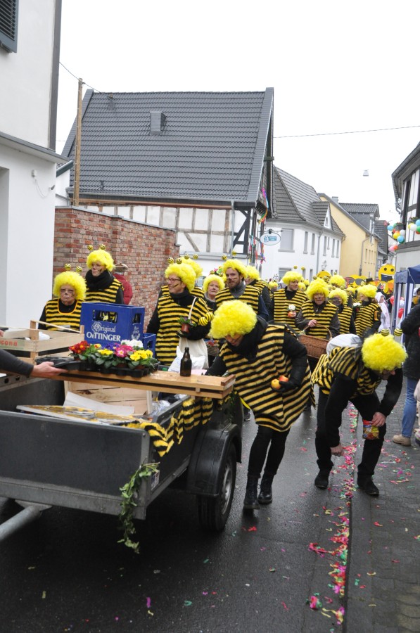 Foto Karnevalszug 2018