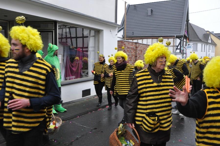 Foto Karnevalszug 2018