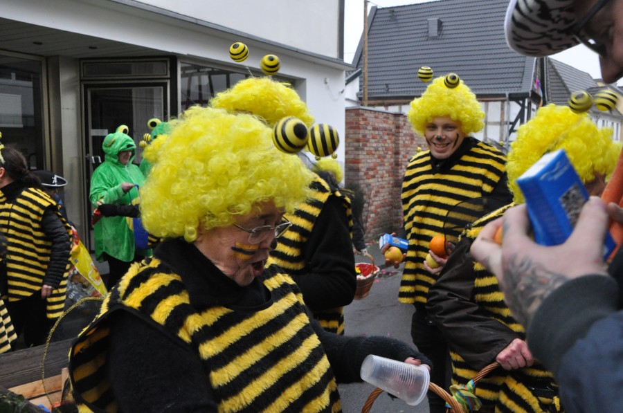 Foto Karnevalszug 2018
