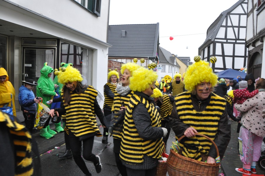 Foto Karnevalszug 2018
