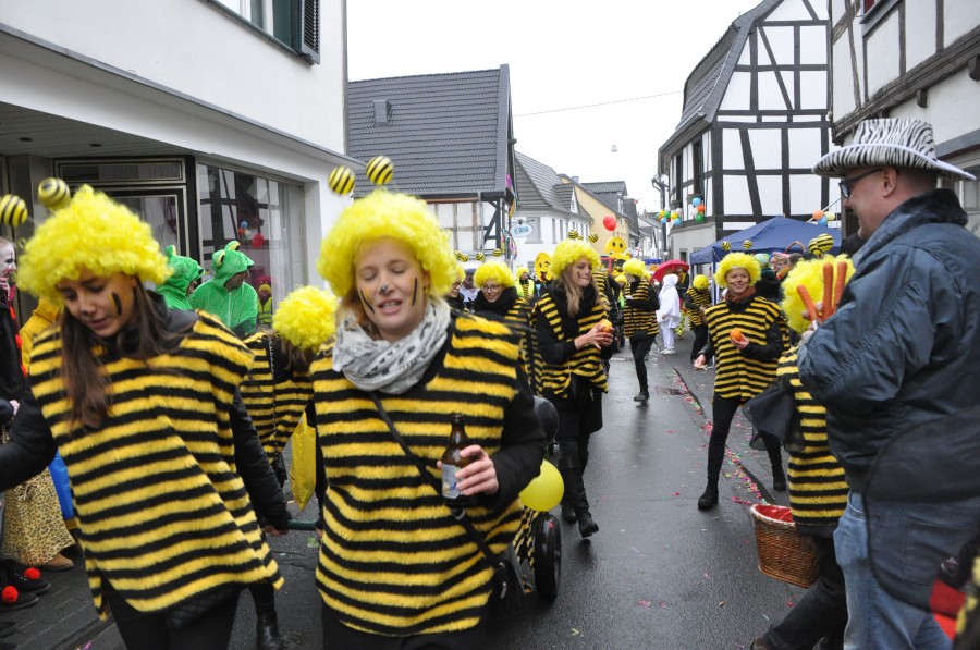 Foto Karnevalszug 2018