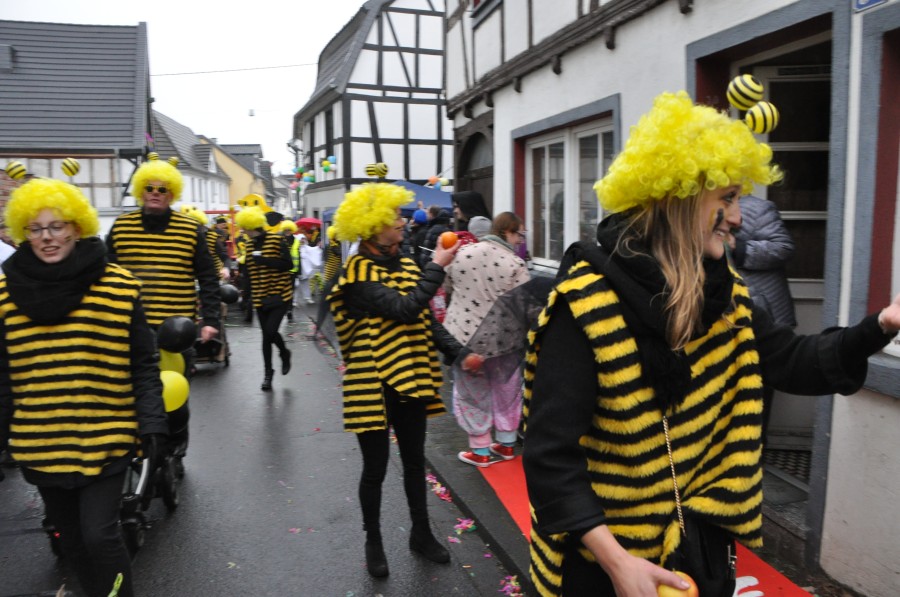 Foto Karnevalszug 2018