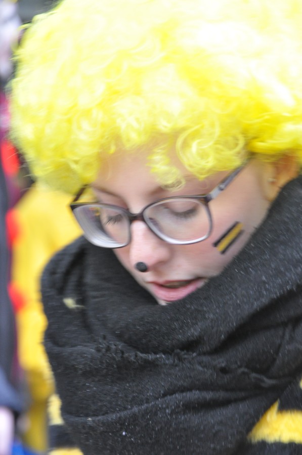 Foto Karnevalszug 2018