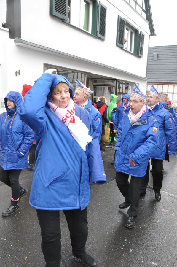 Foto Karnevalszug 2018