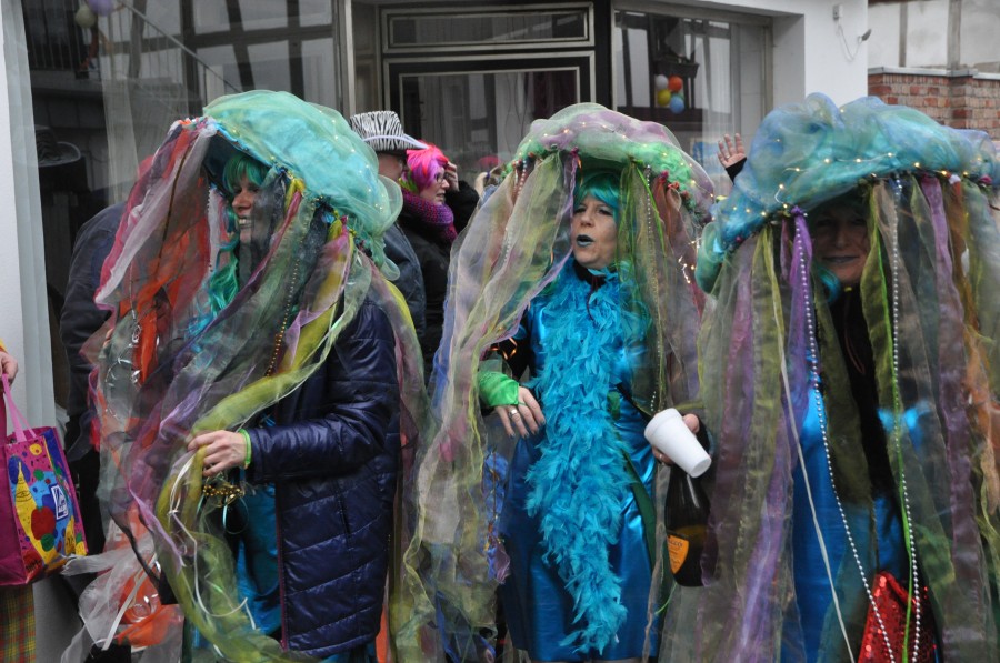 Foto Karnevalszug 2018