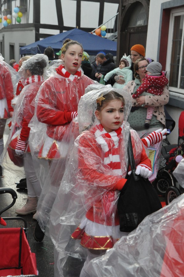 Foto Karnevalszug 2018