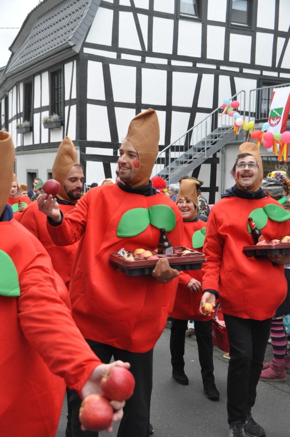 Foto Karnevalszug 2019