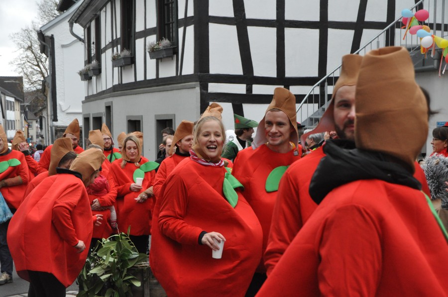 Foto Karnevalszug 2019