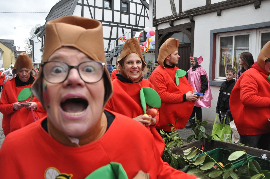 Foto Karnevalszug 2019