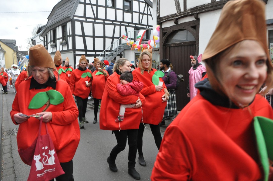 Foto Karnevalszug 2019
