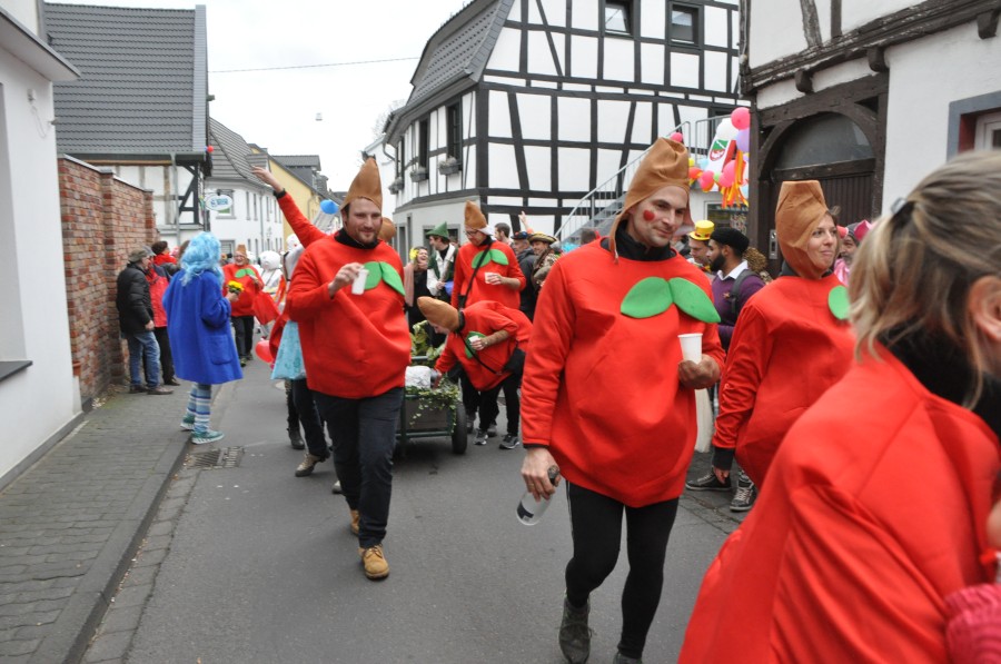 Foto Karnevalszug 2019