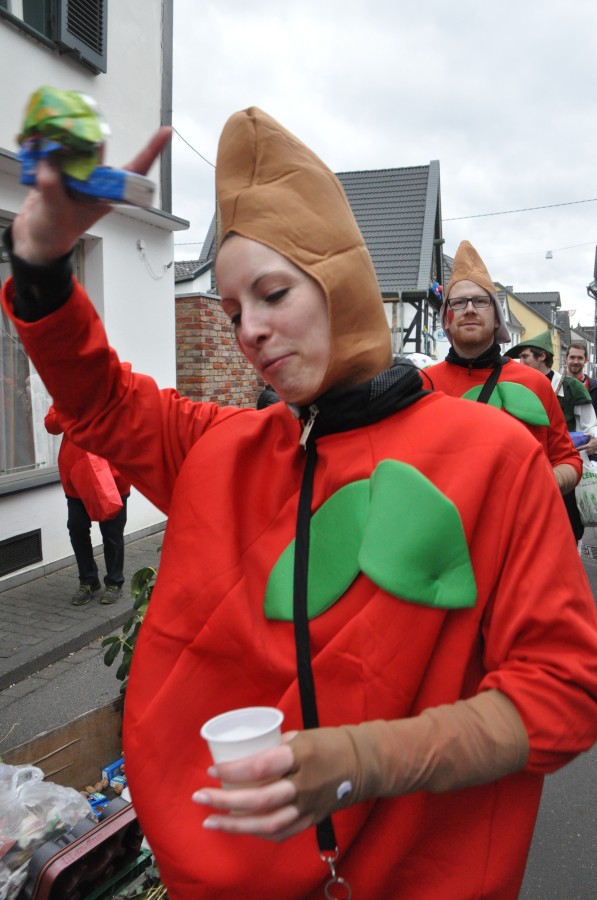 Foto Karnevalszug 2019