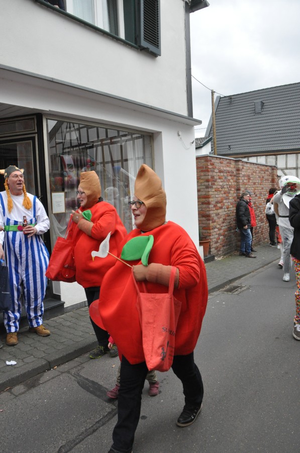 Foto Karnevalszug 2019