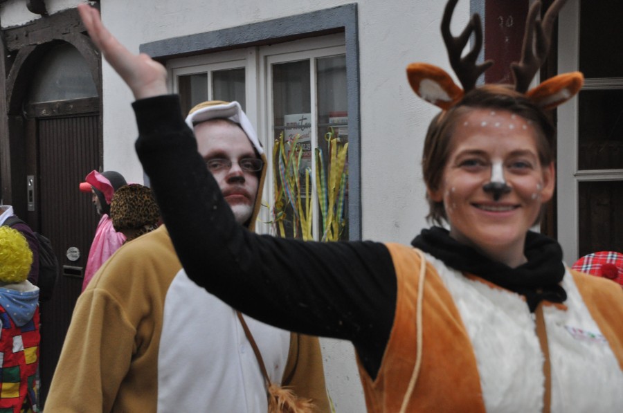 Foto Karnevalszug 2019