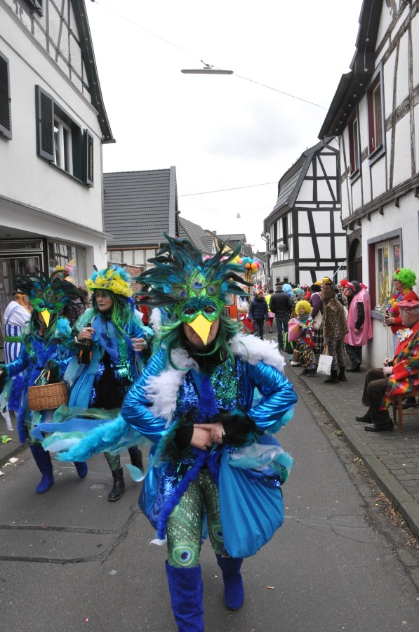 Foto Karnevalszug 2019