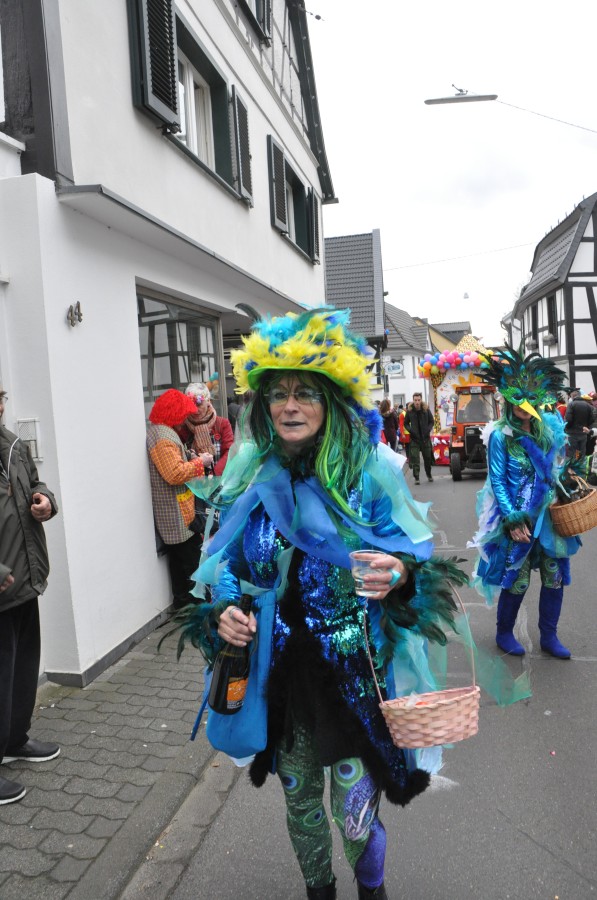 Foto Karnevalszug 2019
