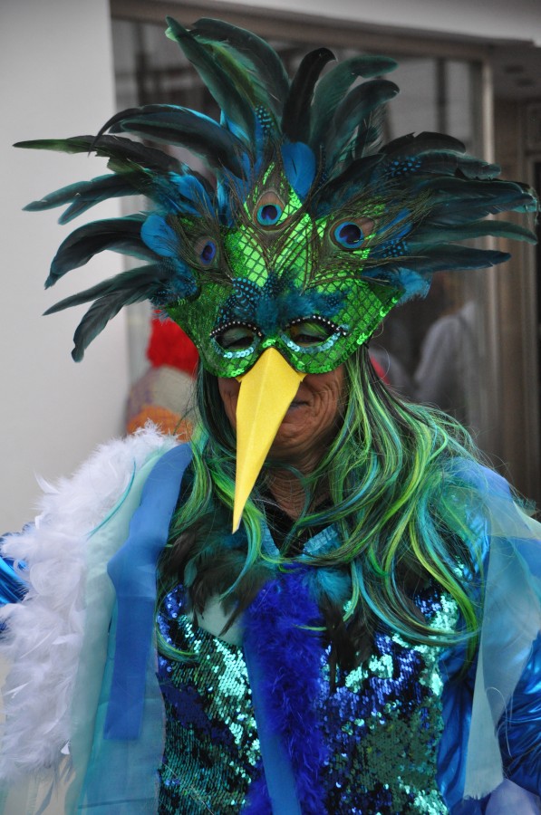 Foto Karnevalszug 2019