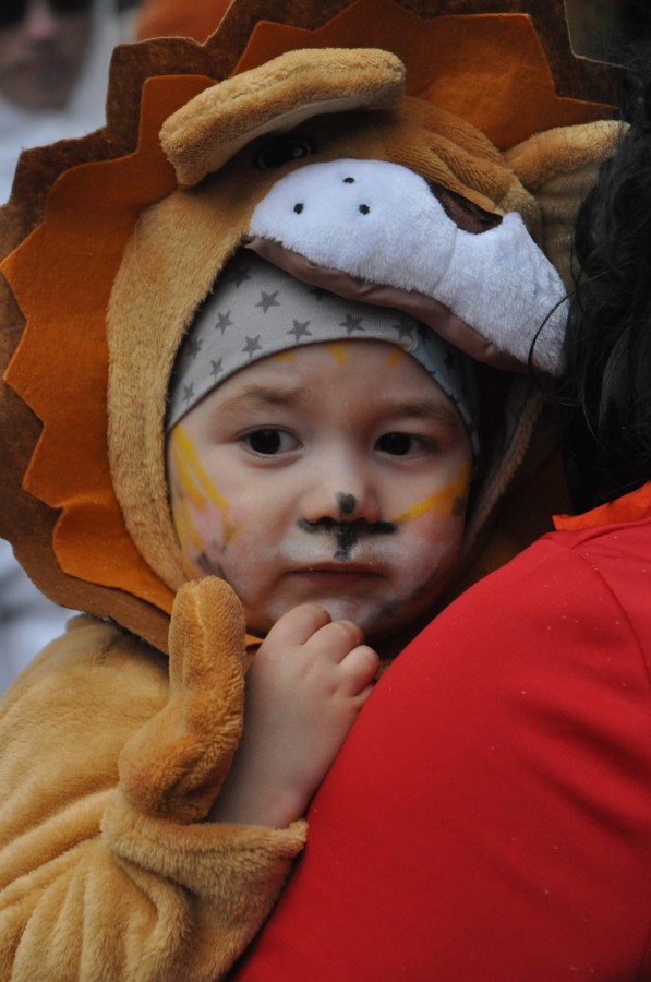 Foto Karnevalszug 2019
