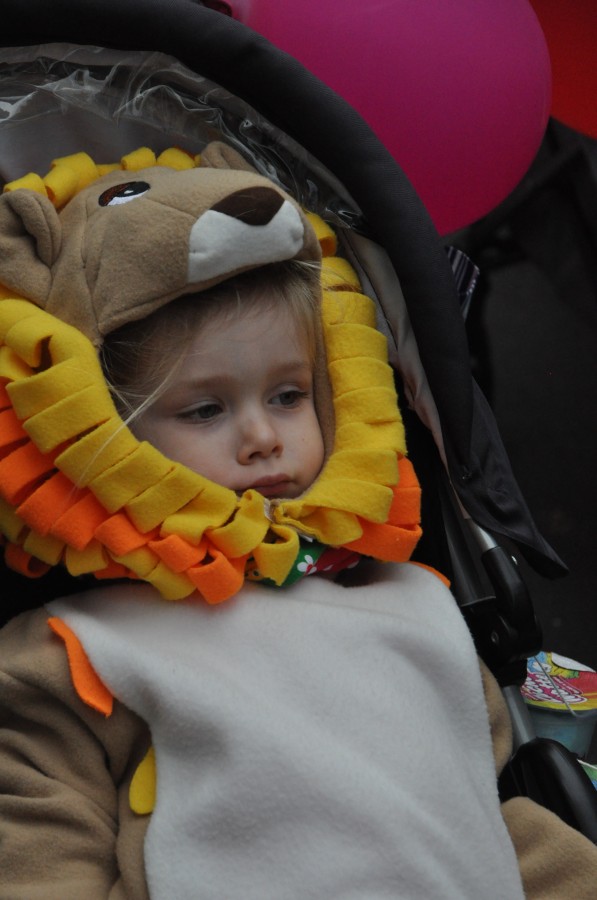 Foto Karnevalszug 2019