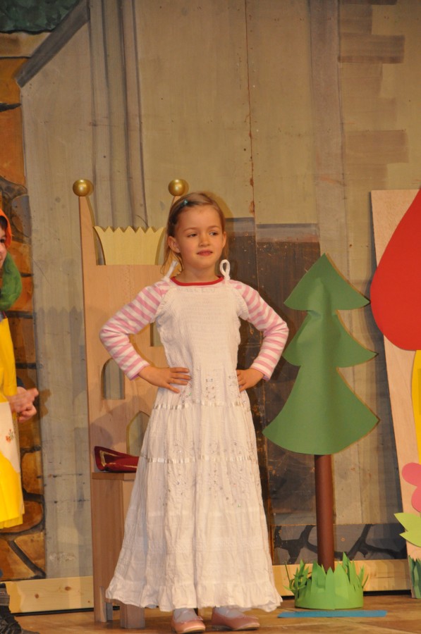 Foto Seniorenkarneval 2020