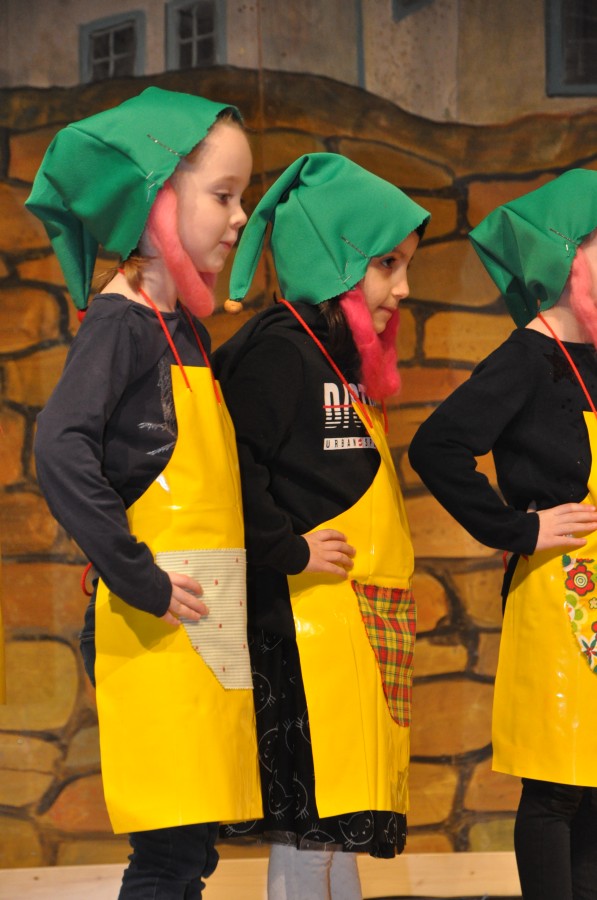 Foto Seniorenkarneval 2020