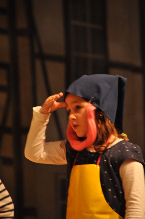 Foto Seniorenkarneval 2020