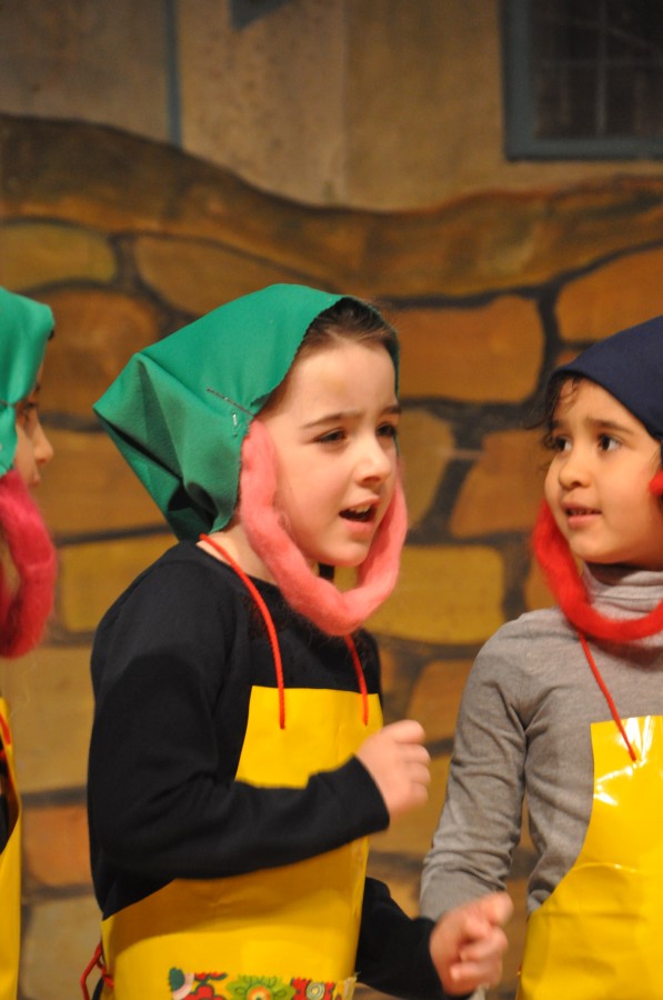 Foto Seniorenkarneval 2020