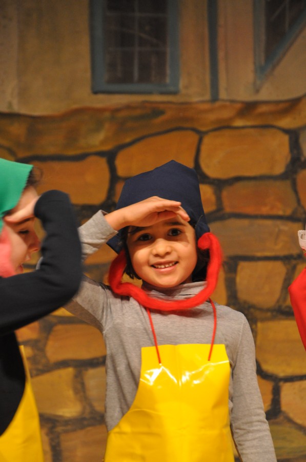 Foto Seniorenkarneval 2020