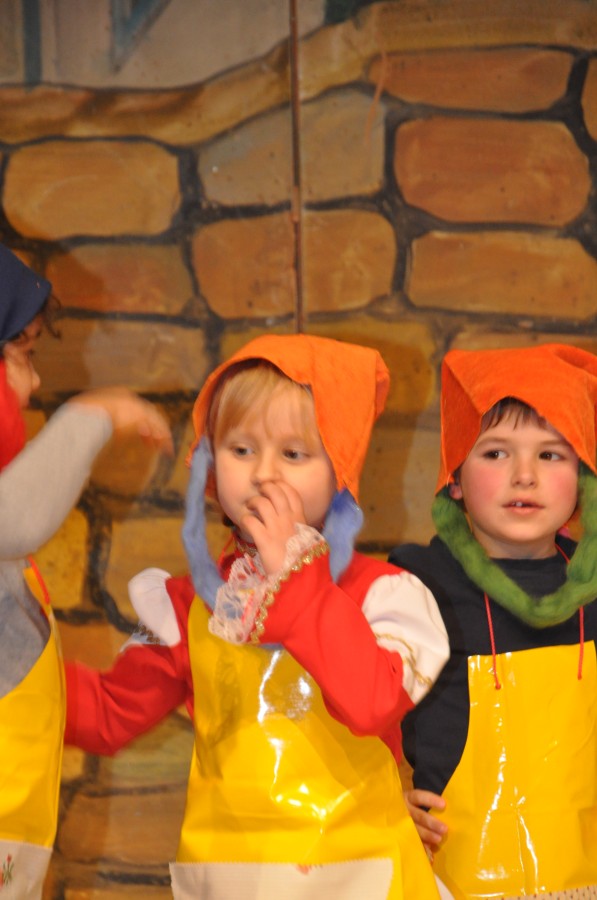 Foto Seniorenkarneval 2020