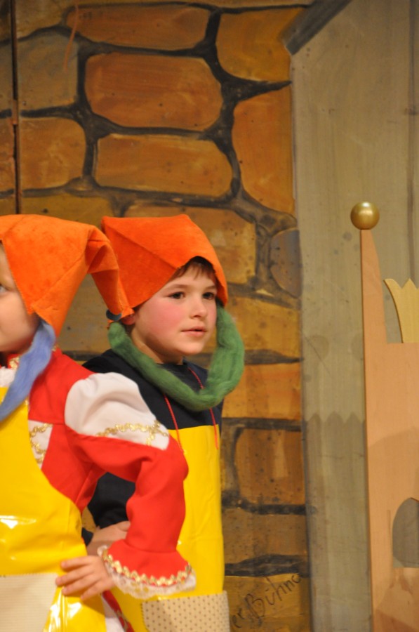 Foto Seniorenkarneval 2020