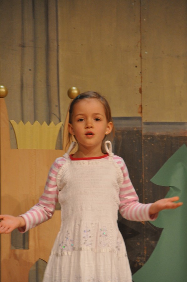 Foto Seniorenkarneval 2020