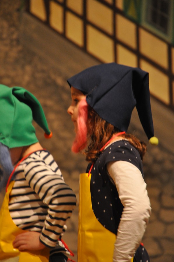 Foto Seniorenkarneval 2020