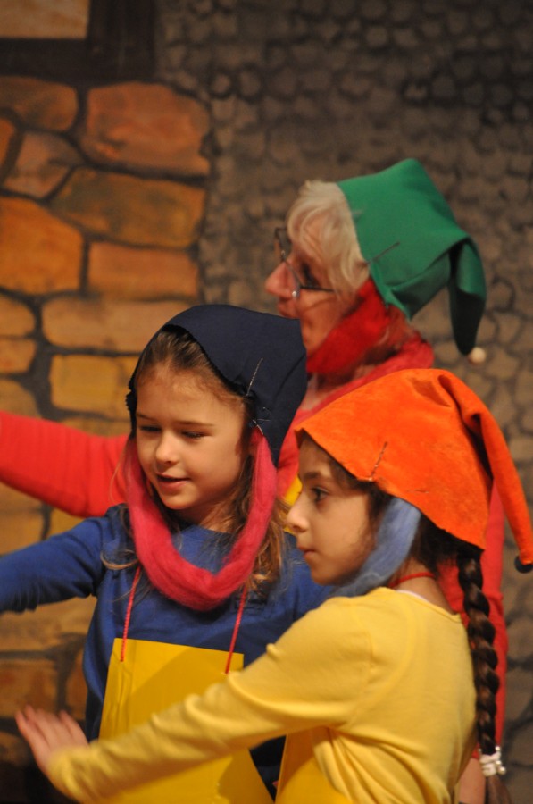 Foto Seniorenkarneval 2020