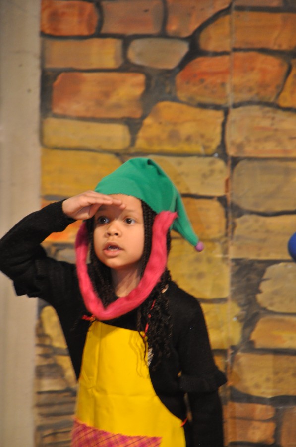 Foto Seniorenkarneval 2020