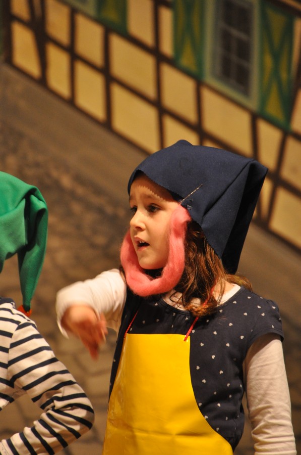 Foto Seniorenkarneval 2020