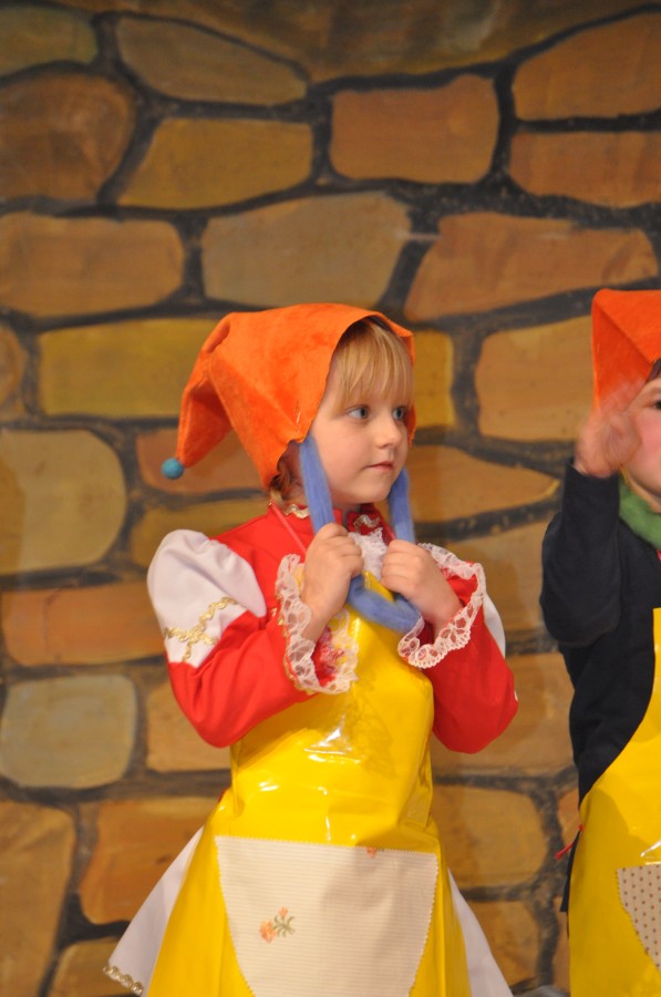 Foto Seniorenkarneval 2020