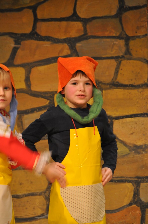 Foto Seniorenkarneval 2020