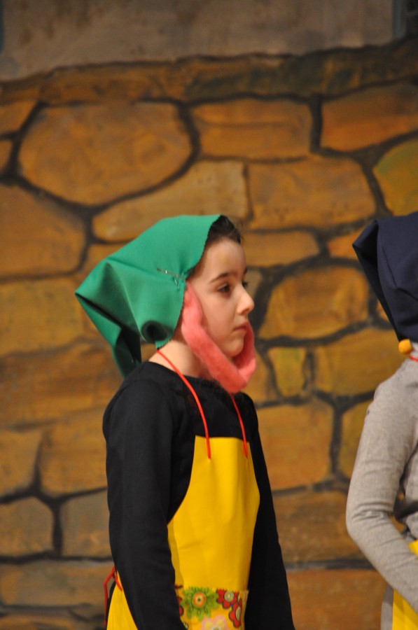 Foto Seniorenkarneval 2020