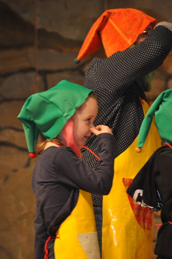 Foto Seniorenkarneval 2020