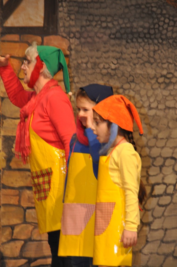 Foto Seniorenkarneval 2020