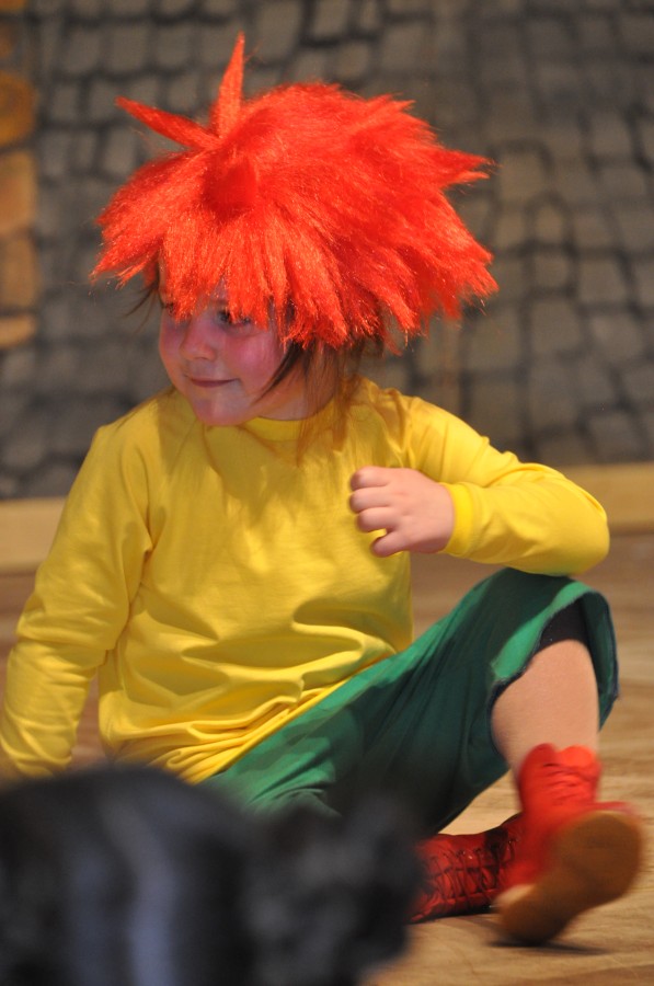 Foto Seniorenkarneval 2020