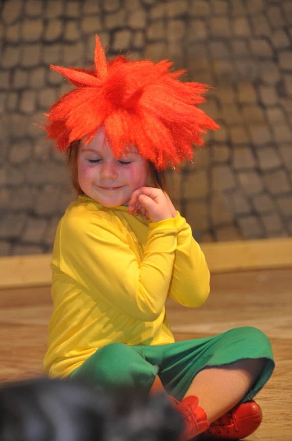 Foto Seniorenkarneval 2020