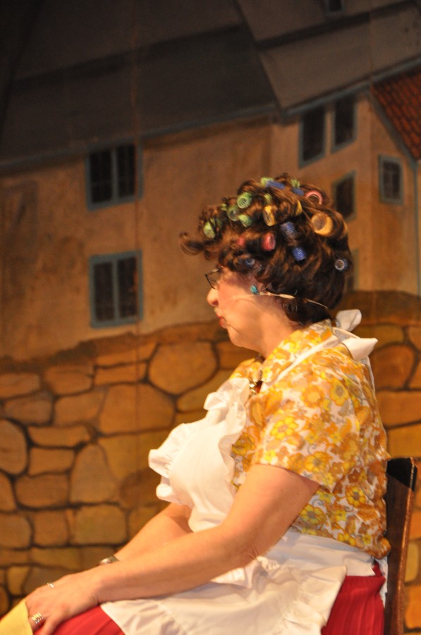 Foto Seniorenkarneval 2020