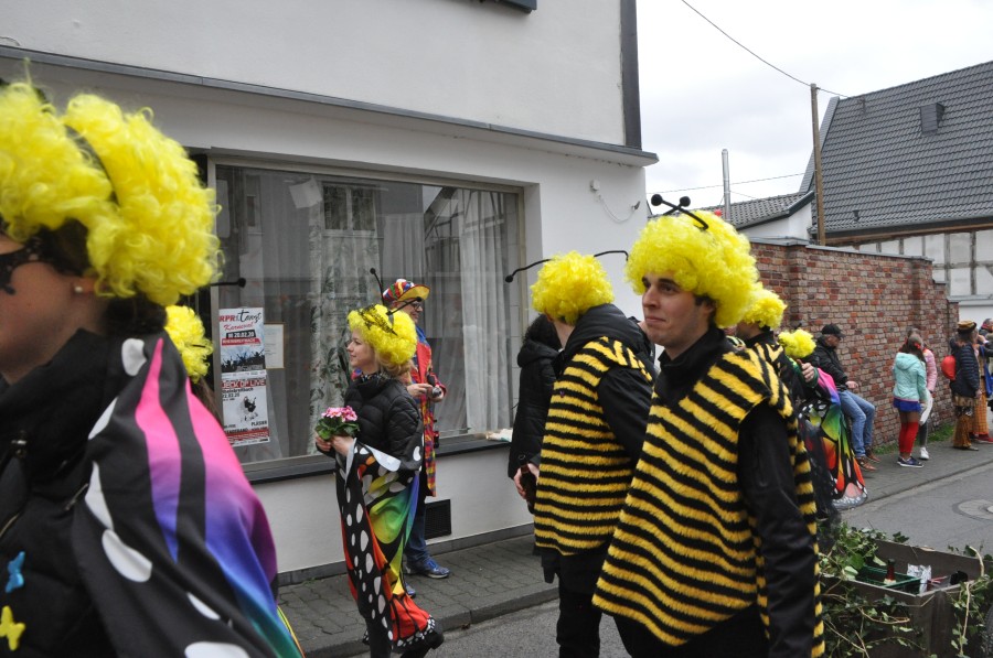 Foto Karnevalszug 2020