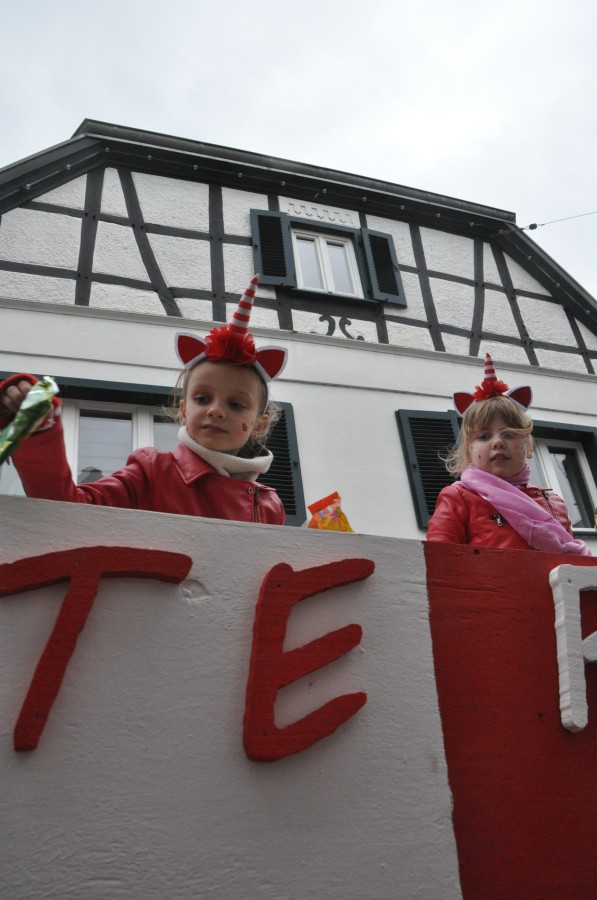 Foto Karnevalszug 2020