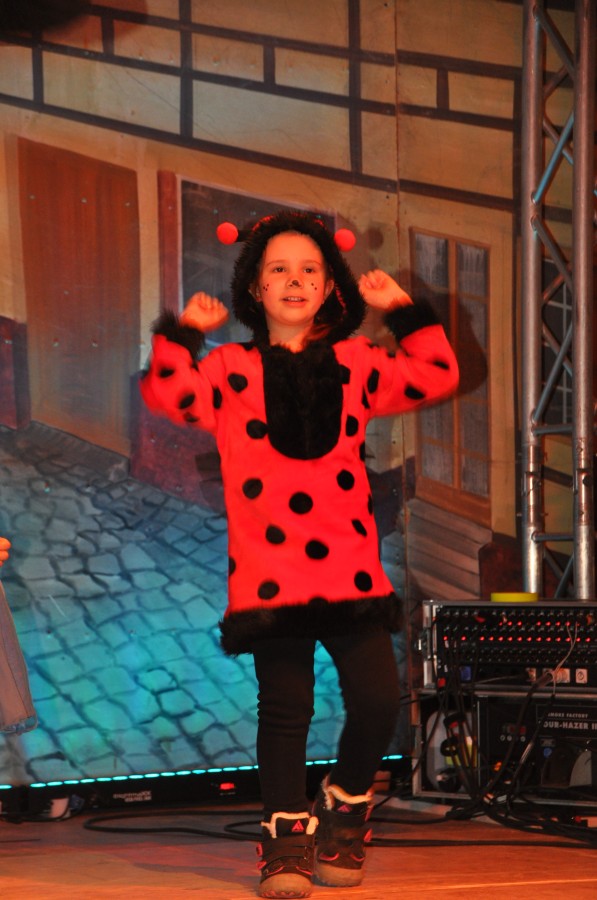 Foto Seniorenkarneval 2023