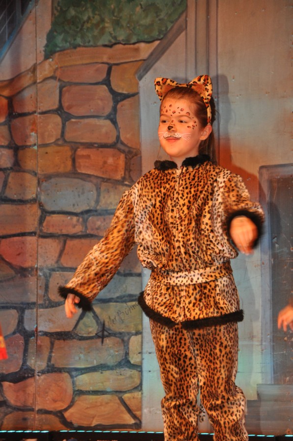 Foto Seniorenkarneval 2023