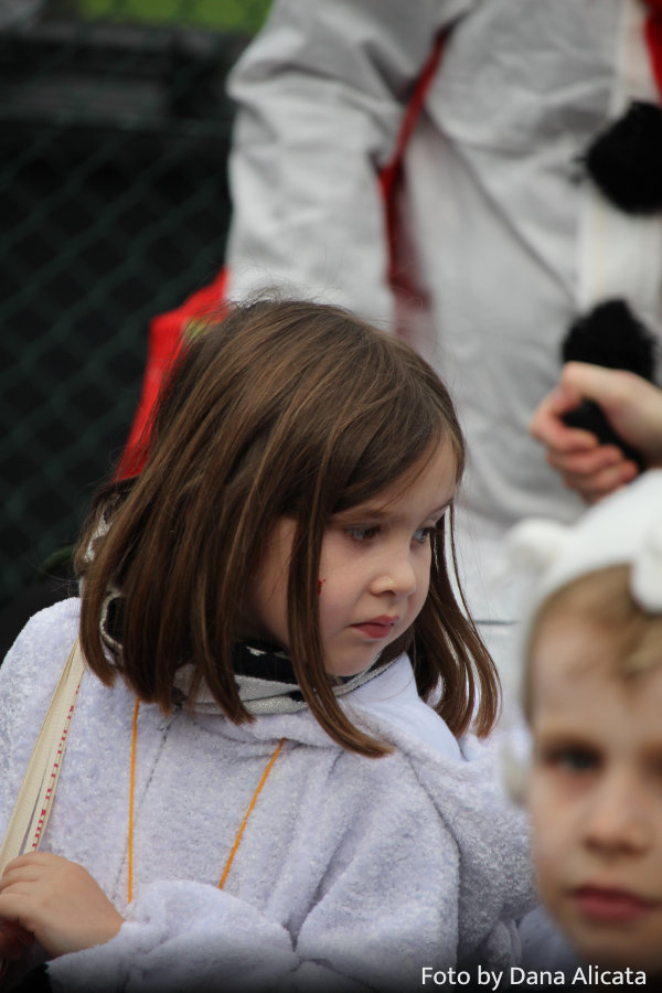 Foto Karnevalszug 2023