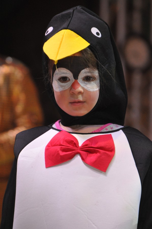 Foto Seniorenkarneval 2024